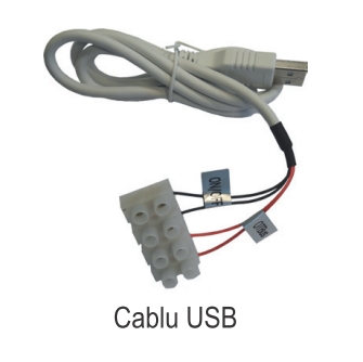 Poza Termostat ambiental cu radiofrecventa RF si WiFi FERROLI CONNECT - cablu USB
